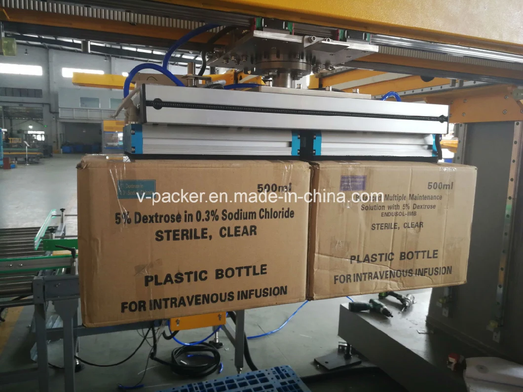 Palletizer/Packing/Box/Bags/Pail/Bottles Palletizer