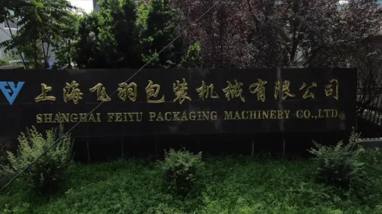 Vis automatiques clous matériel de fixation ensachage boxe emballage équipement d'emballage de Shanghai Feiyu Machinery