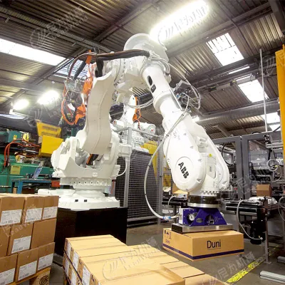 Machine automatique industrielle de palettiseur de robot d'ABB pour l'emballage de palette